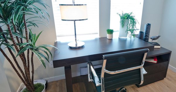 Дыши по-новому! 7 могучих растений, которые полностью очистят воздух в твоем доме.