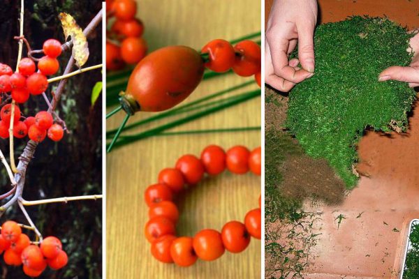 Что необходимо притащить в дом осенью