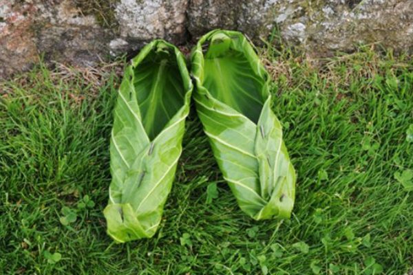 Вот что свершится, если примотать капустные листья к ноге всего на 1 час!