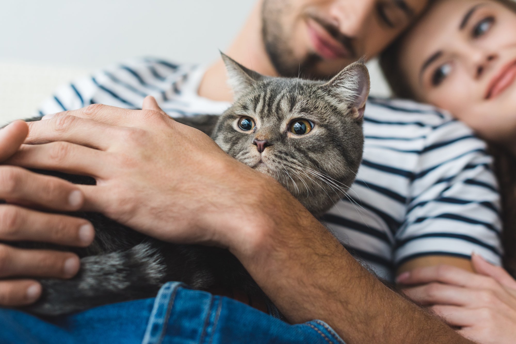 Почему кошки воспринимают хозяев как родителей Советы,Взаимоотношения,Дом,Животные,Кошки,Психология,Семья