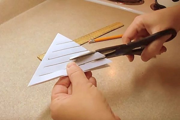 Ей понадобилось сделать всего 5 надрезов, чтобы создать необыкновенно красивую снежинку!