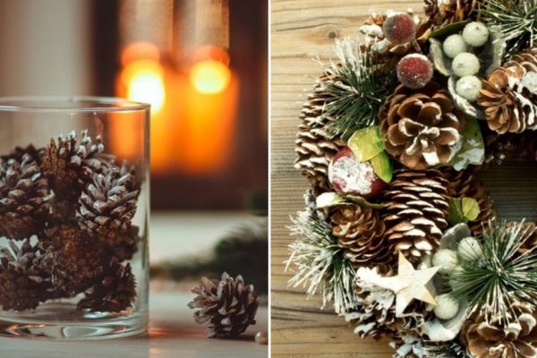 Почему стоит собирать шишки в любую погоду