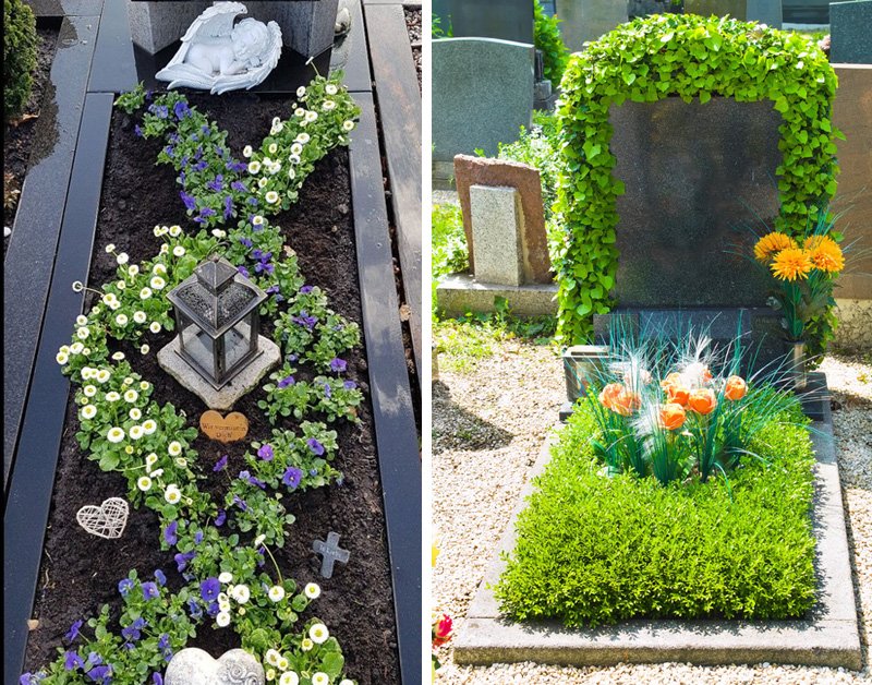 Какие цветы посадить на кладбище многолетние неприхотливые чтобы цвели на могиле фото