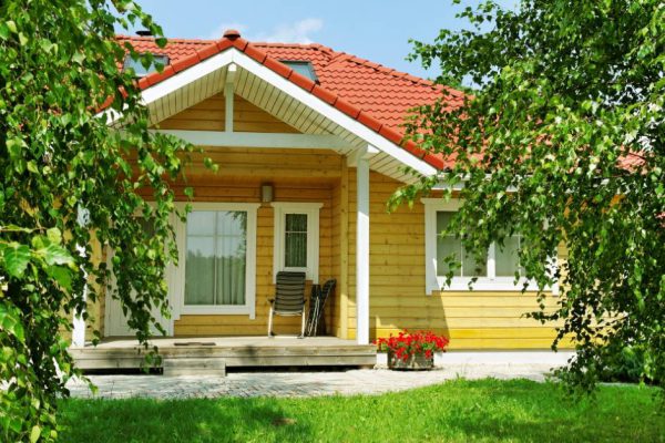 Опрятный двор без цветника и как за ним ухаживать