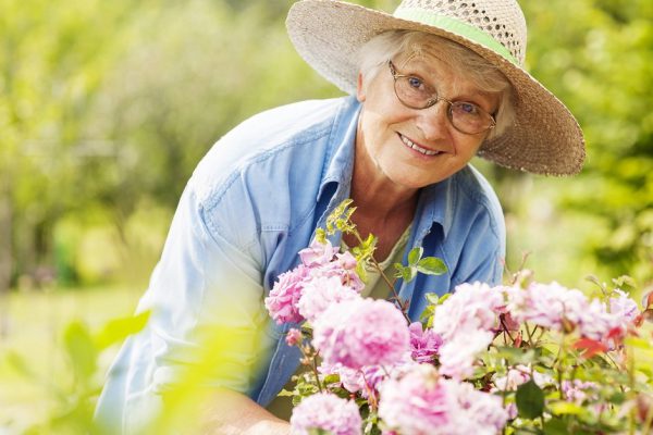 Senior woman with flowers in garden