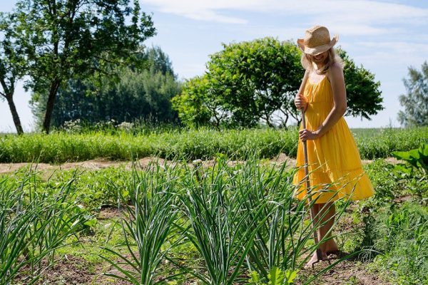 Отвергая салоны красоты: после работы в огороде руки будут мягкими, ногти ухоженными