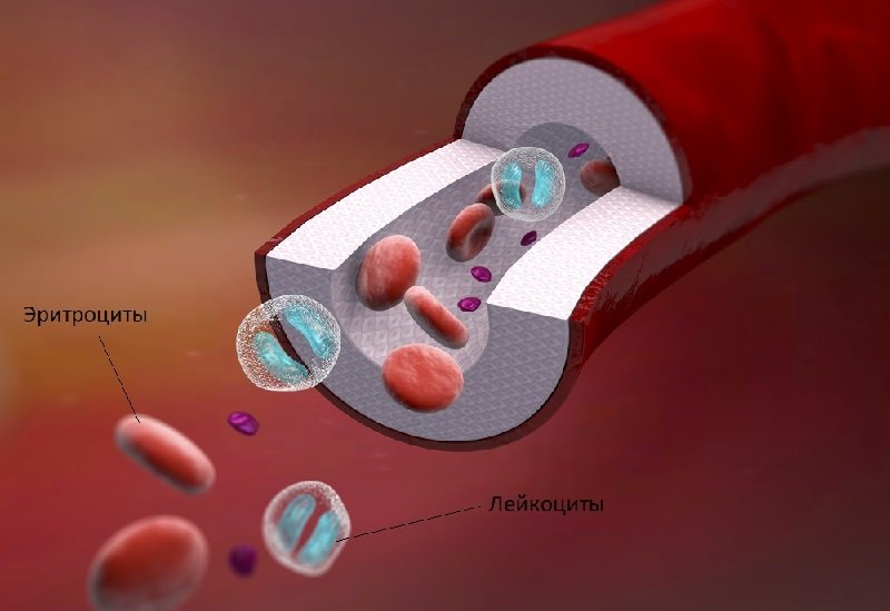 критерии характеризующие состояние здоровья