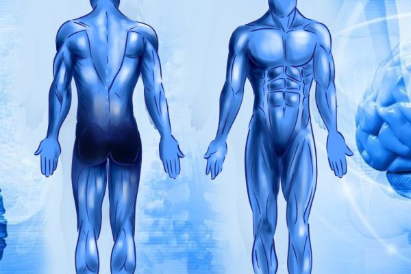 На какие показатели здоровья следует обратить внимание