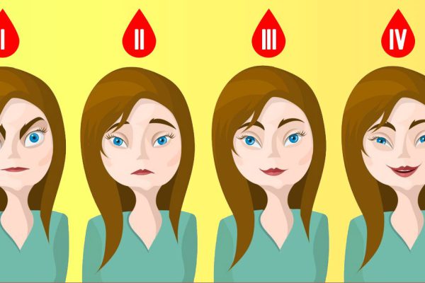 Что ты знаешь о кровеносной системе, кроме расположения сердца? Срочно заполни пробелы в знаниях!