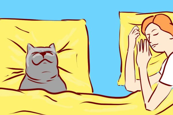 Семь неожиданных причин, чтобы взять собаку к себе в кровать