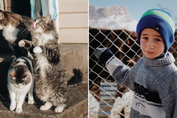 Кошатница вышла покормить знакомых пушистиков, но внезапно к ней подошел исхудавший мальчик и попросил еды