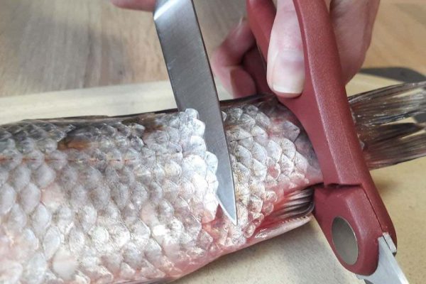 Друг-рыбак показал, как чистит верткую рыбу кухонными ножницами, впервые слышу о предназначении острых зубчиков посередине