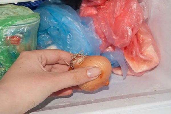 Зачем совать лук в морозилку