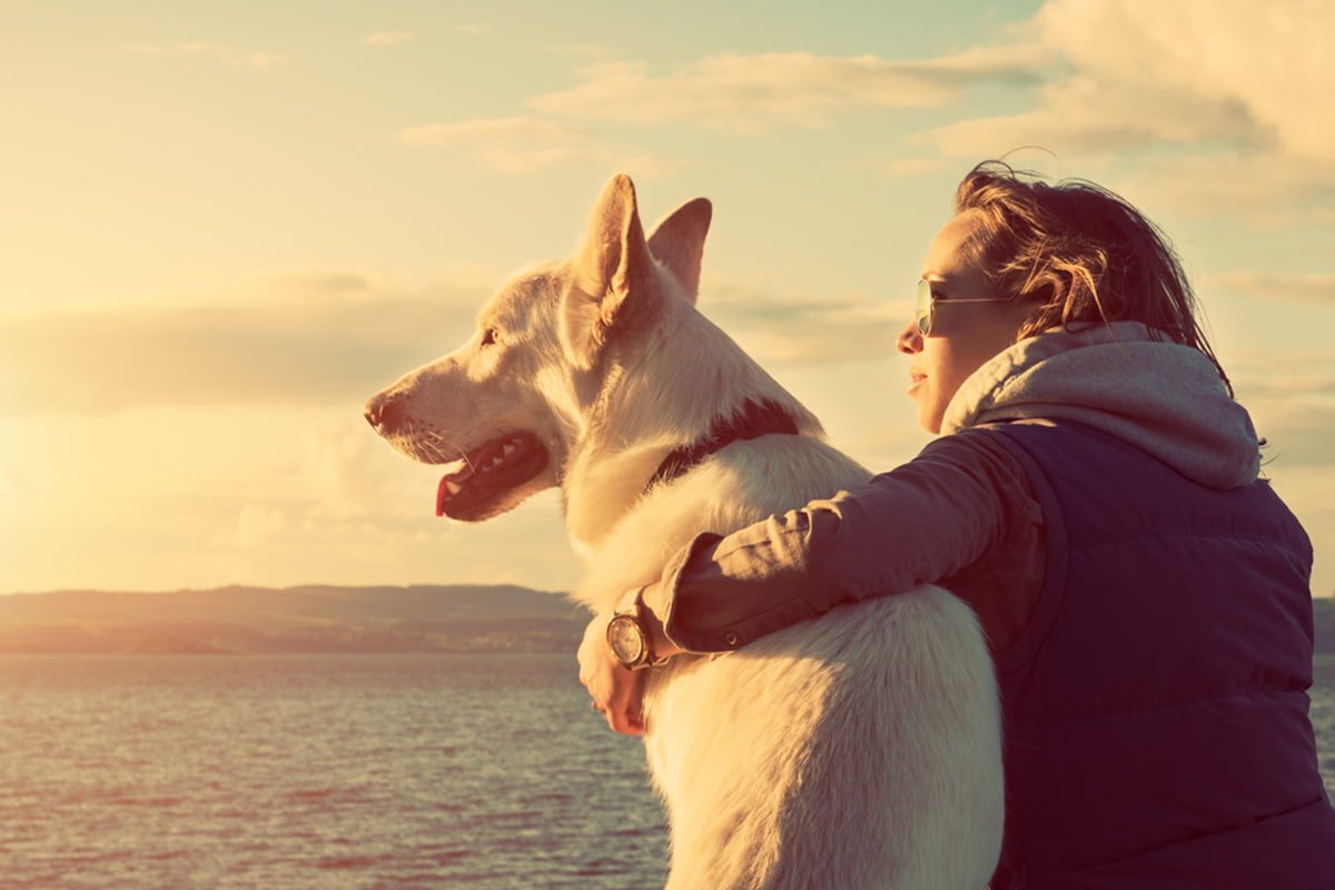 бразилия сегодня