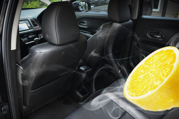 Молодые водители не понимают, зачем опытные автомобилисты возят в машине лимон