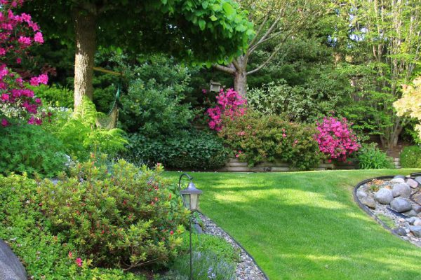 Какие кустарники отлично растут без присмотра