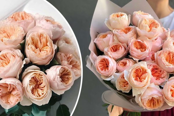 Почему в США цветы стоят очень дешево, а у нас это прибыльный бизнес