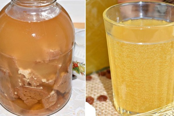 Рецепт кваса из цикория