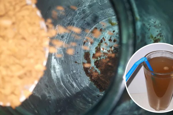 Почему кофейный квас вкуснее хлебного