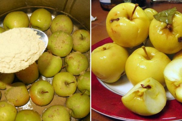 Пора квасить: надежный рецепт для заготовки яблок на зиму