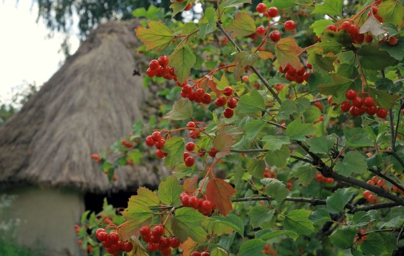 ландшафтный дизайн на даче