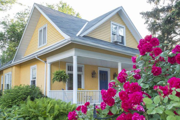 Какие кусты и растения посадить у входа в частный дом