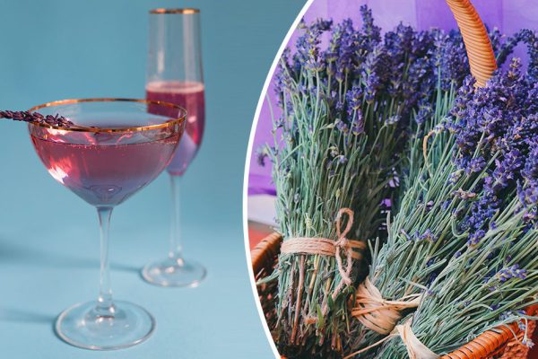 Лавандовое изобилие: как использовать лаванду на кухне круглый год