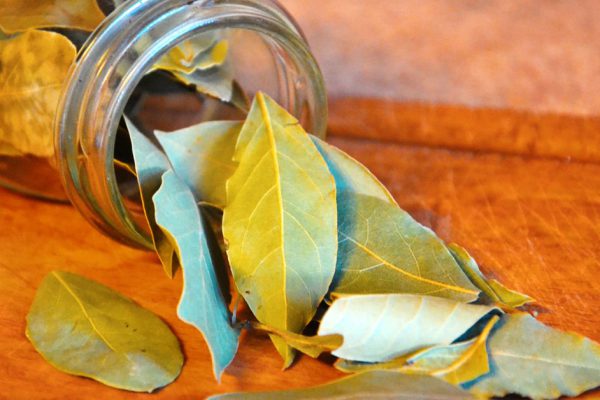 Просто подожги лавровый лист и посмотри, что получится!