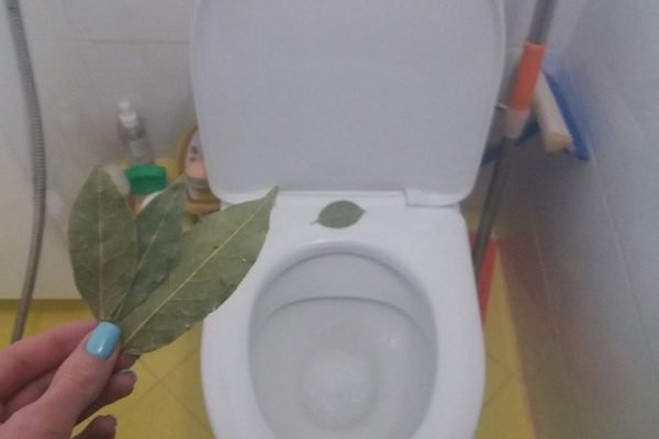 Заметила у соседки лавровый лист в туалете, осмелилась и спросила, для чего он там