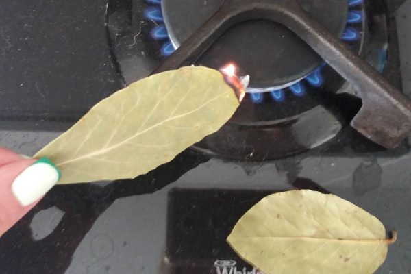 Когда чувствую, что в жизни всё идет наперекосяк, поджигаю лавровый листик