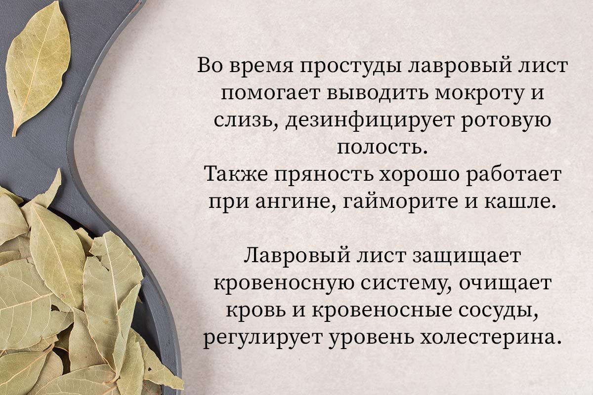 Лавровый лист польза отзывы. Лавровый лист. Лавровый лист группа пряностей. Лавровый лист для очищения организма. Лавровый лист в медицине.