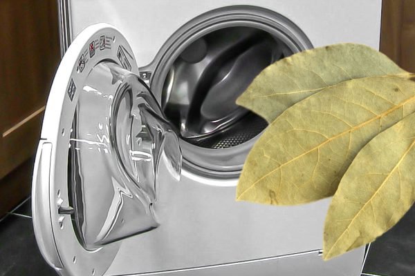 Опытные хозяйки кладут лавровый лист не только в суп, но и в стиральную машинку