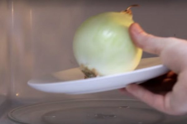 Он поставил лук в микроволновку. В итоге получилось то, о чём я давно мечтал!