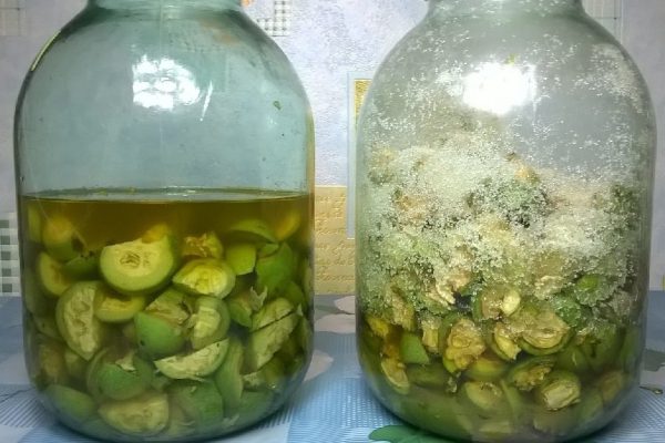 Грецкие орехи молочной спелости поправят здоровье на долгие годы!