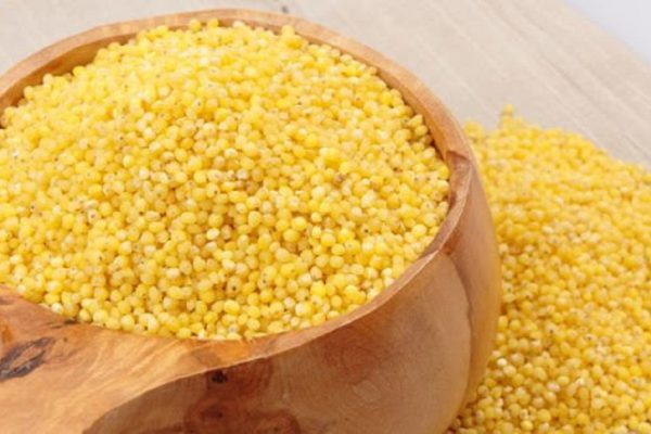 Почки можно вылечить без химии — пшеном! Не спеши покупать дорогие лекарства…