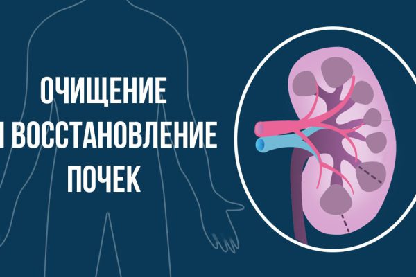 Как наладить работу почек при помощи всего 1 ингредиента!