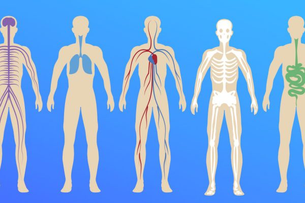 Полный проверенный список нужных лекарственных препаратов! Для всего.
