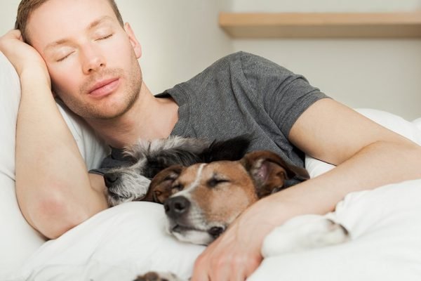 Кто носит гордое звание «Ленивый король» по знаку зодиака