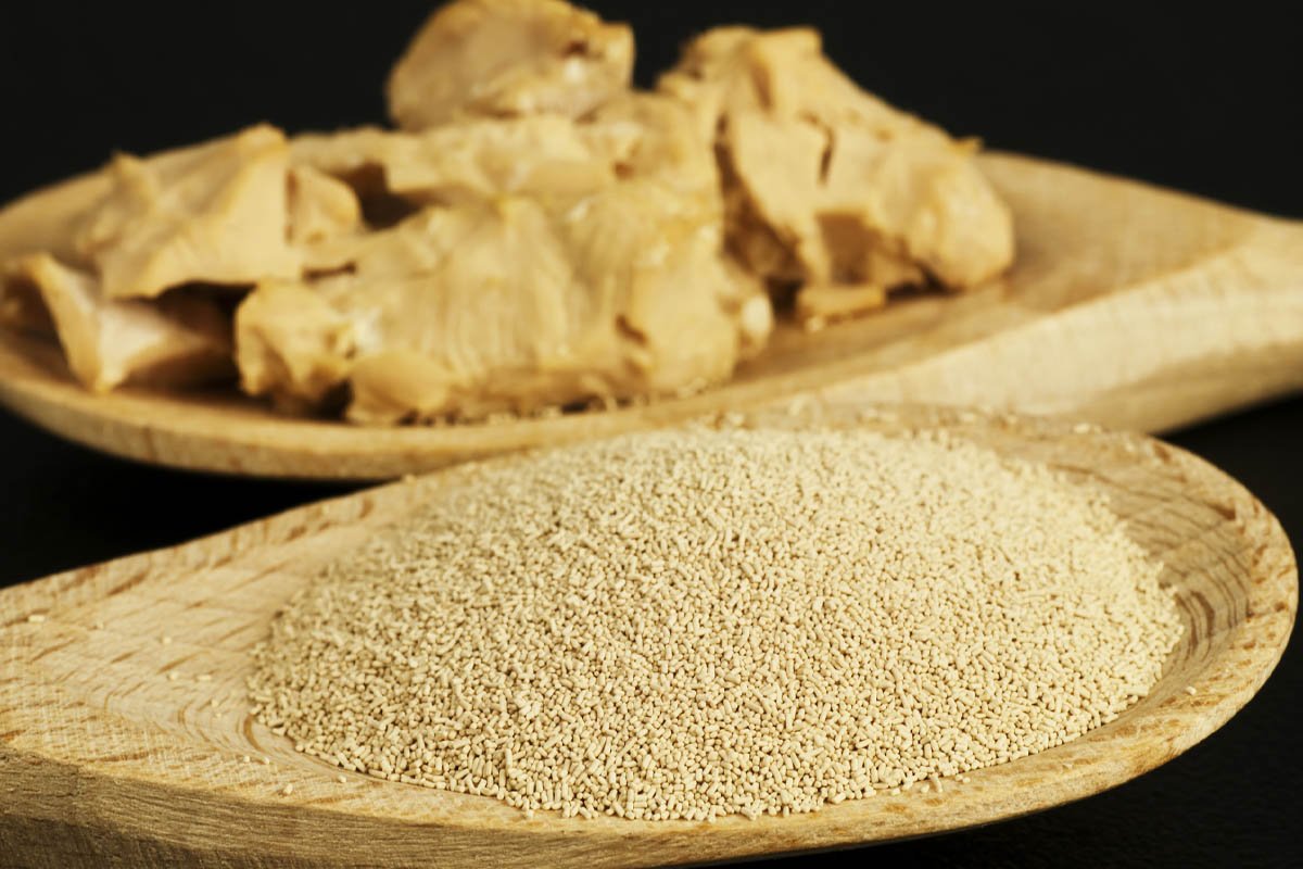 Узбекская хозяйка научила меня готовить лепешки на воде, хлеб больше не покупаю Узбекская хозяйка научила меня готовить лепешки на воде, хлеб больше не покупаю Кулинария,Выпечка,Кухня,Питание,Продукты,Тесто