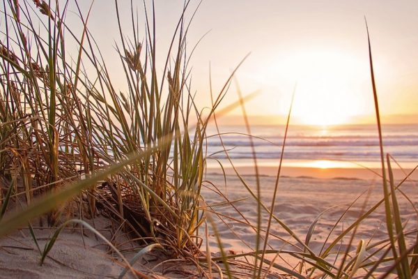 Чем летнее солнцестояние в 2022 году настолько особенное