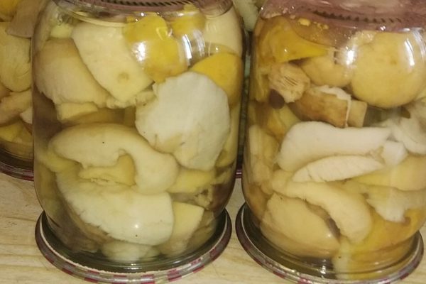 Сколько нужно отваривать грибы перед закруткой