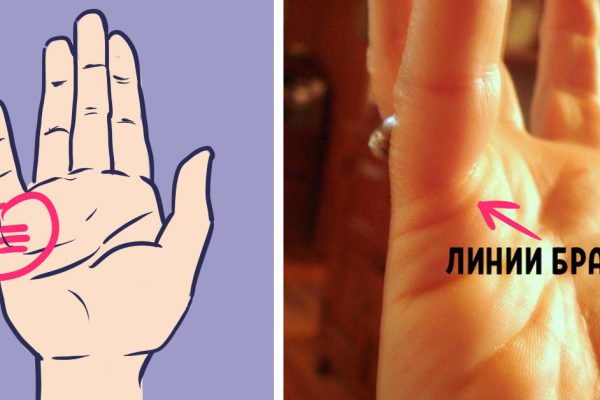 Посмотри на свои ладони! Вот что получается, когда эти две линии сходятся…