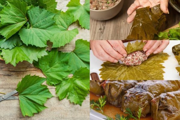 Как заготовить виноградные листья впрок
