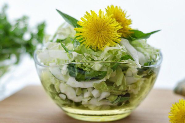 Руководство по приготовлению салатов из листьев одуванчика