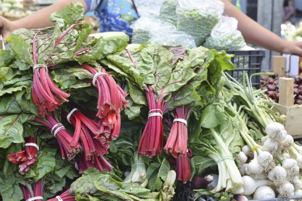 Зачем итальянцы едят листья свеклы