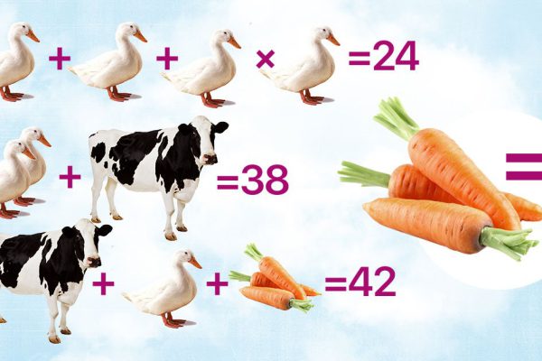 Логическая задача, чтобы вернуться за школьную парту хоть на мгновение