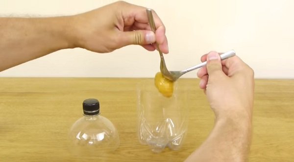 ловушка для ос