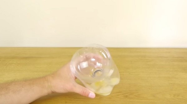 ловушка для ос