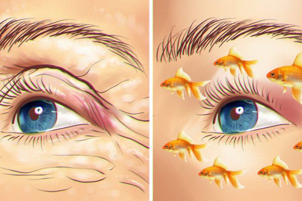 Почему рыбий жир полезен во всех отношениях