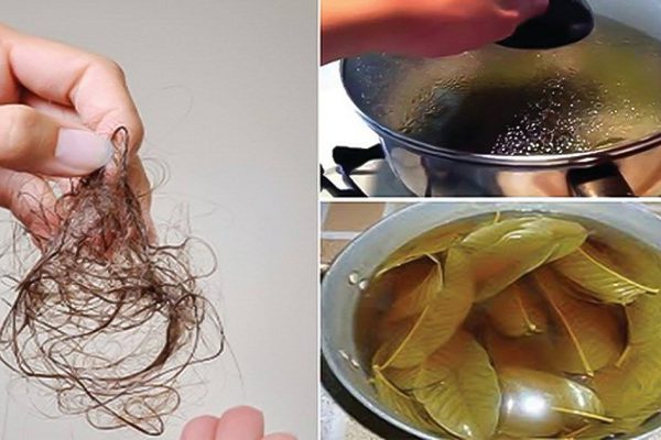 Как остановить выпадение волос! Скорее всего, Рапунцель пользовалась этим средством…